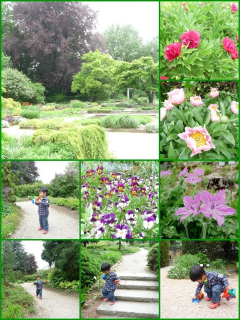 page lリンツ植物園-0.jpg